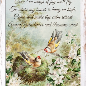 Rótulo de país vintage primitivo jpg Frascos digitais, bandejas em camadas, placas, impressões, ninho de pássaro vitoriano Ovos de primavera Poema Pintassilgo Flor de macieira