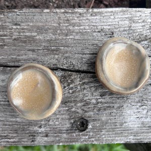 May include: Two small, handmade ceramic dishes. The dishes have a light beige interior with a speckled texture and a brown rim. The exterior is a light brown color. The dishes are on a weathered wooden surface.