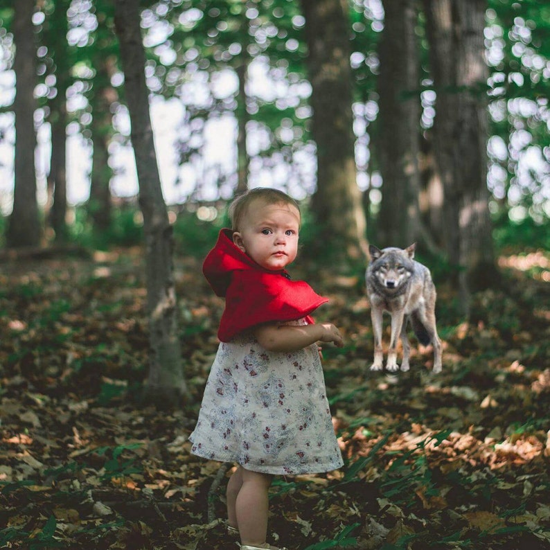 Toddler Red Riding Hood Newborn Photo Prop Sitter