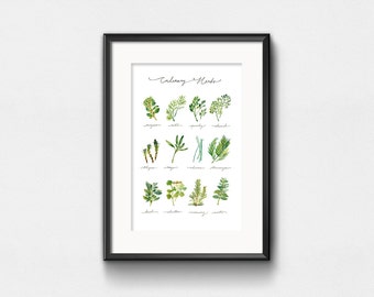 Culinary Herbs Art Print | Watercolor Plants | Infographic Herbs Chart | Wall Decor | Hand Lettering | 8x10 | 11x14 | 13x19