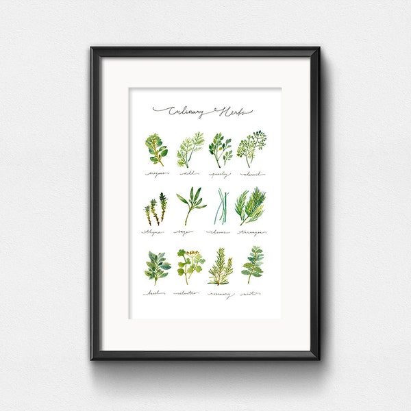 Culinary Herbs Art Print | Watercolor Plants | Infographic Herbs Chart | Wall Decor | Hand Lettering | 8x10 | 11x14 | 13x19
