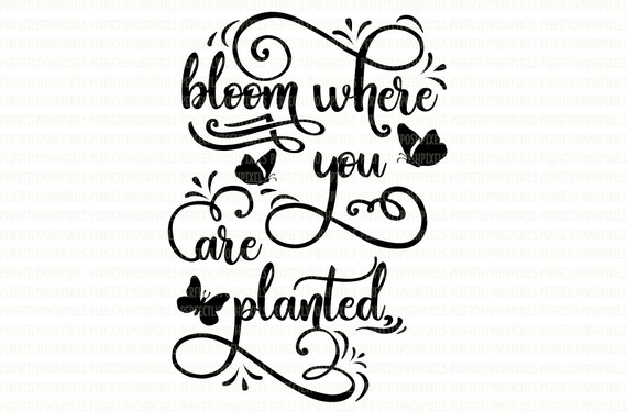 Bloom Where You Are Planted svg digital design cutting files | Etsy