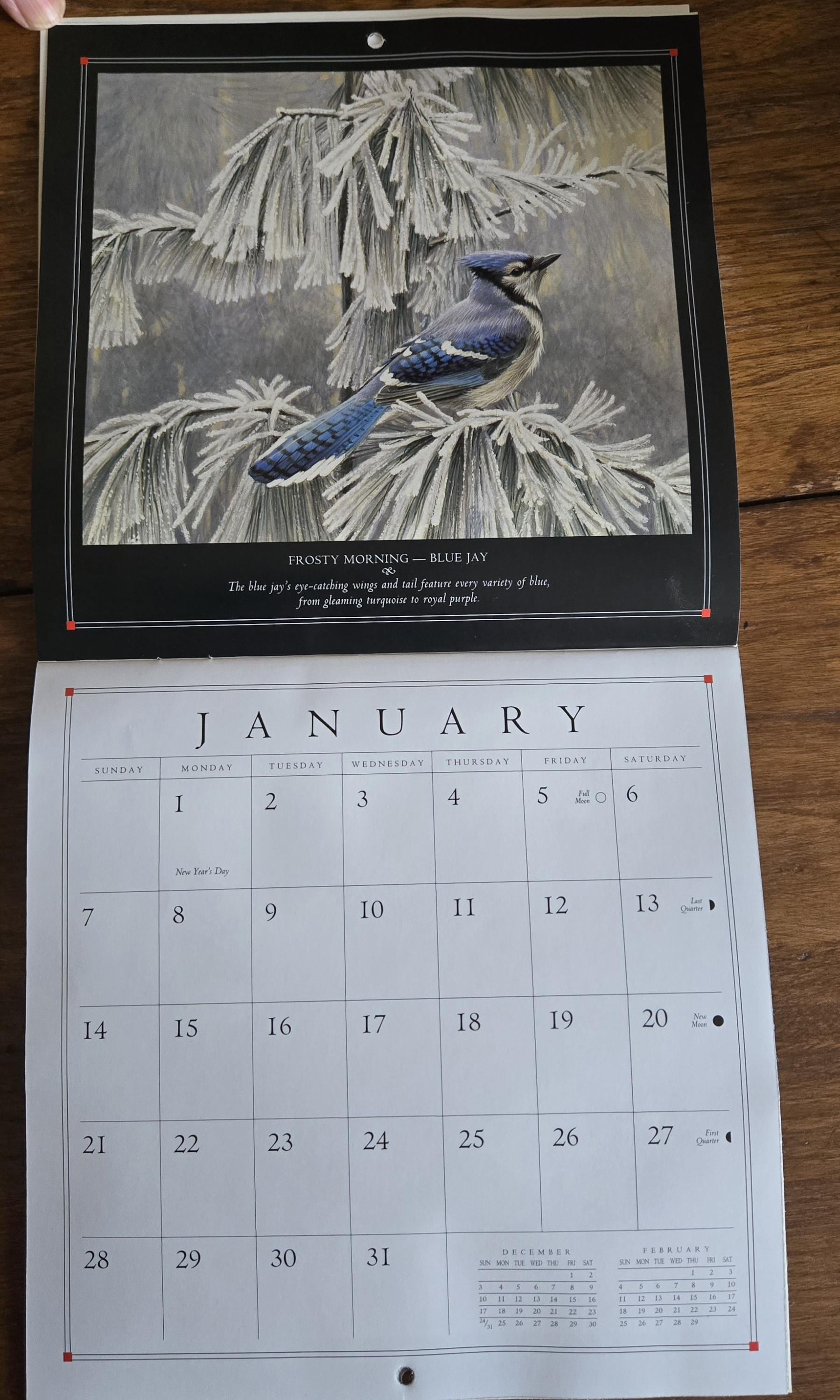 1996 Robert Bateman's Birds Exclusive to Sears 12 Month 7