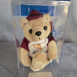 NSYNC Limited Edition Lance Bass 9" teddybeer in originele plastic displaydoos # 851 van 25.000