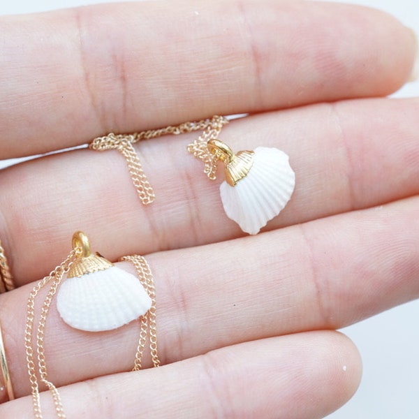 24k Gold Dipped White Scallop Shell Necklace