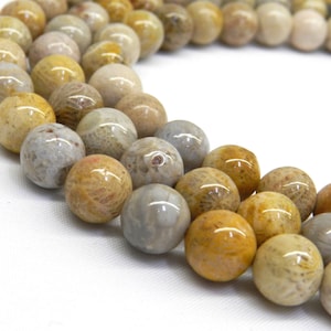 8mm Fossil Coral, AA Quality, Fossil Coral, Fossil Beads, 8mm Beads, 6mm Beads, 8mm Gemstone, Natural Gemstones, Coral Beads, Mustard