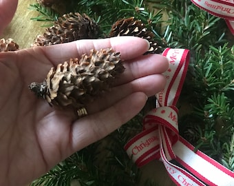 Pommes d'épicéa séchées naturelles, pommes de pin pour l'artisanat, artisanat de Noël, différentes tailles de pommes de pin, pommes de 4 à 7 cm,