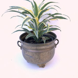 Vintage Brass Planter Pot Holder Container~Decorative Handles~Footed Brass Indoor Planter~Brass Boho Decor~Housewarming Gift