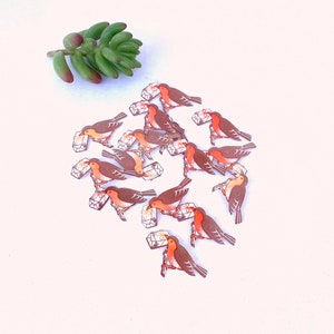 15 Vintage Envelope Seals~Stickers RED ROBIN w/ Package~Lick and Stick Special Delivery~Gift Envelope Package Decoration