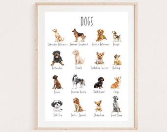 Póster educativo de razas de perros, Arte de pared canino, Decoración de guardería, Impresión de habitación para niños, Arte de educación en el hogar Montessori, DESCARGA DIGITAL