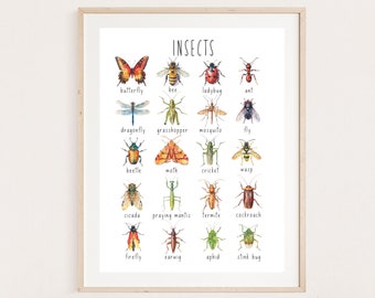 Cartel educativo de insectos, impresión de insectos, decoración del aula de la naturaleza, arte de la escuela en el hogar Montessori, arte de la pared de la guardería para niños, DESCARGA DIGITAL