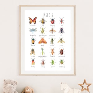 Educational Insects Poster, Bugs Print, Nature Classroom Decor, Montessori Homeschool Art, Kids Nursery Wall Art, DIGITAL DOWNLOAD