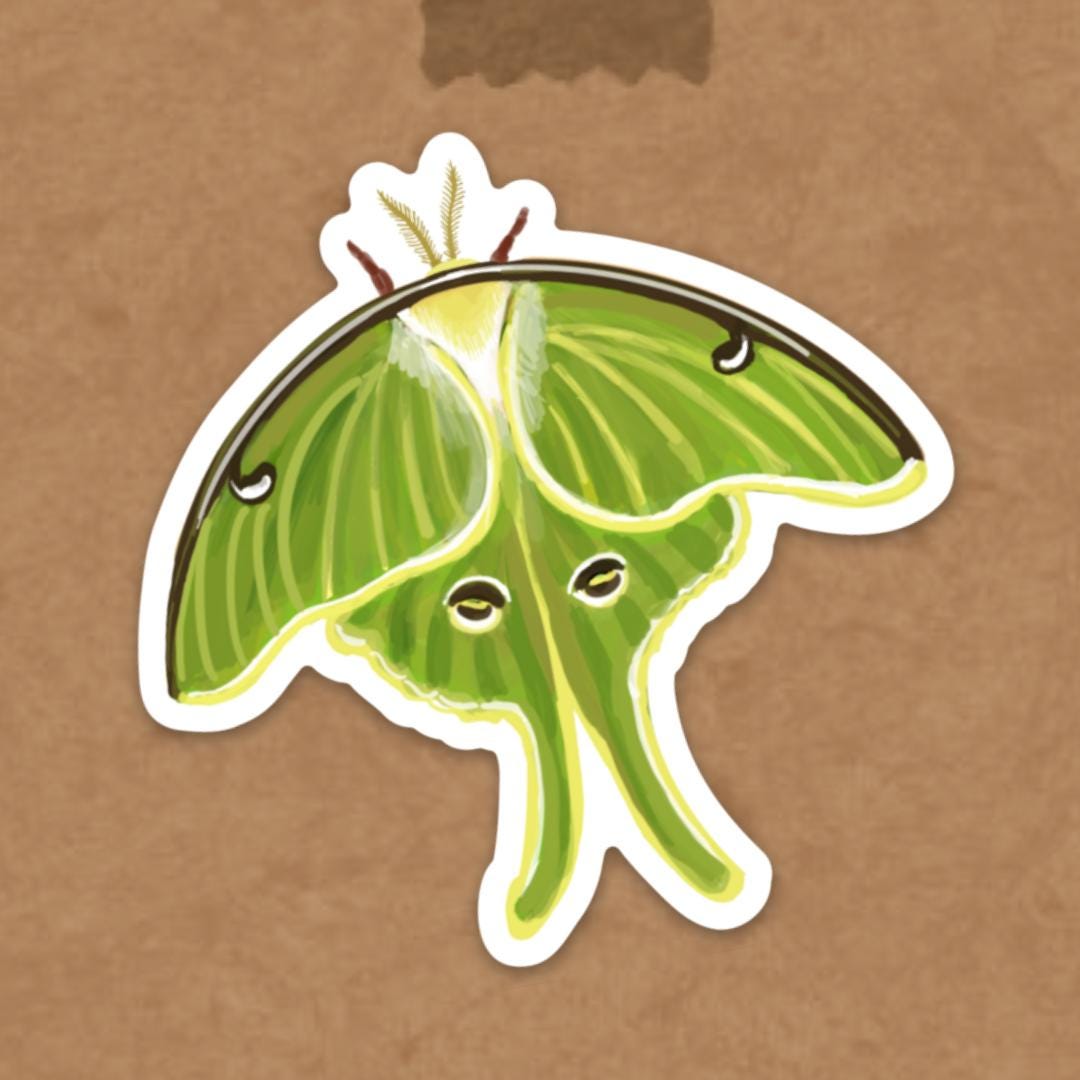 Luna Moth Sticker - Weather Resistant Vinyl Sticker for Laptop Water ...