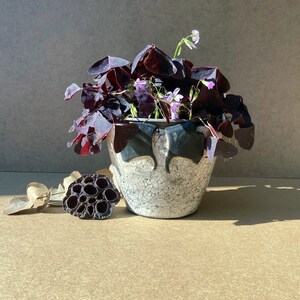 Cache pot en céramique raku blanc orné de feuilles de Gingko. Cette pièce unique sublimera vos plantes d'intérieur dans l'esprit wabi sabi