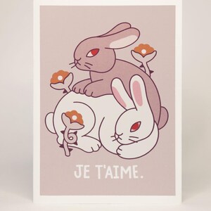 Carte lapins