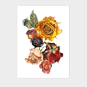 Gedroogde rozen A6 kleine aquarel artwork print