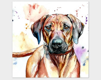 Small/Med Art Print Rhodesian Ridgeback Dog Watercolour and Pen Pet Painting