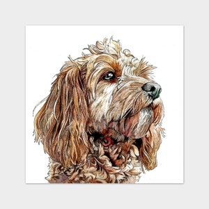 May include: A watercolor painting of a brown and white dog with curly fur. The dog is looking to the right and has a serious expression.