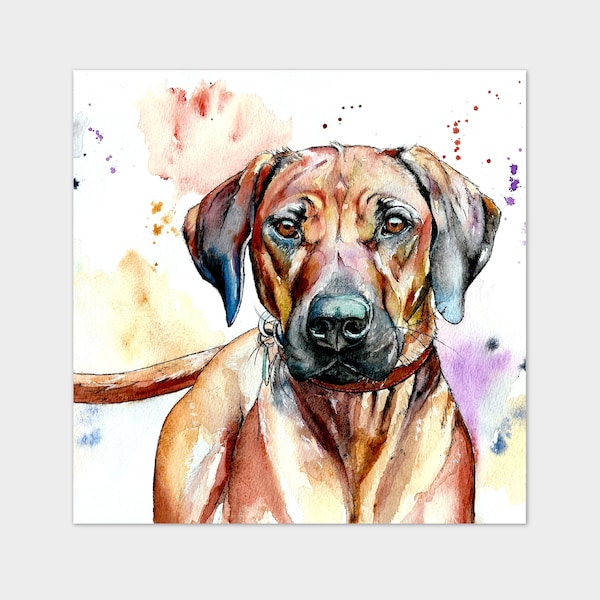 Small/Med Art Print Rhodesian Ridgeback Dog Watercolour and Pen Pet Painting