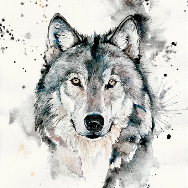 A4, A3 Watercolour Painting and Pen Wolf Original Art Print - Limited Edition