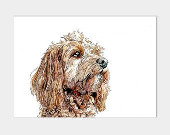 Large Cockapoo Dog A3 Art Print Watercolour and Pen Pet Painting