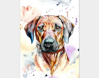 May include: Watercolor painting of a Rhodesian Ridgeback dog with a brown and black coat. The dog is looking directly at the viewer with a serious expression. The background is a soft watercolor wash of pink, purple, and orange.