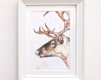 Small Framed Watercolour Reindeer Artwork Print
