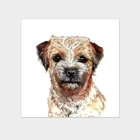 Small Art Print Border Terrier Dog Watercolour And Pen Pet Etsy