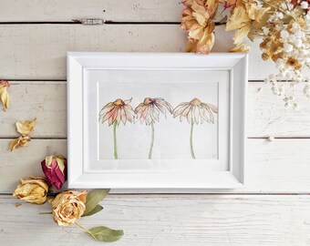 Wilted Daisy Small Framed Watercolour Artwork Print