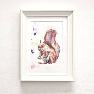 Small Framed Colourful Watercolour Squirrel Artwork Print