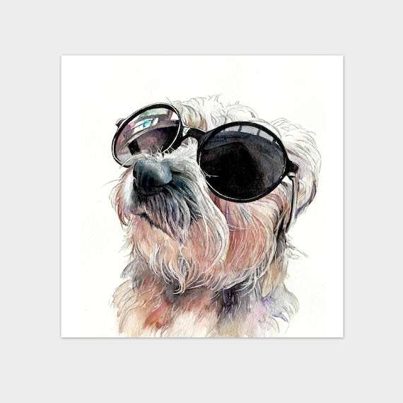 dog wearing sunglasses