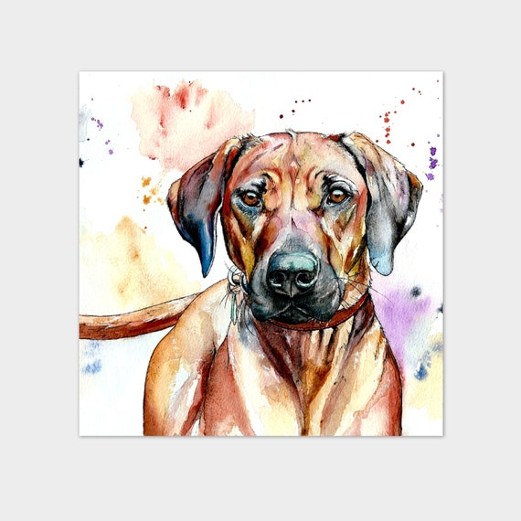 Small med Art Print Rhodesian Ridgeback Dog Watercolour and Pen