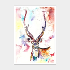 Limited Edition A3 Colourful Stag Art Print from Original Watercolour Painting