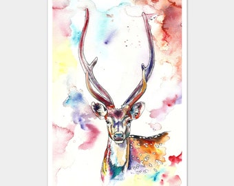 Limited Edition A3 Colourful Stag Art Print from Original Watercolour Painting