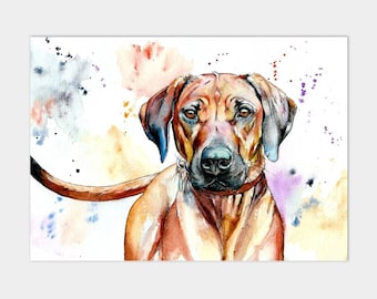 May include: Watercolor painting of a brown Rhodesian Ridgeback dog with a colorful background of watercolor splatters.