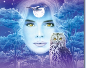 Spirit Guide Reading