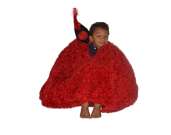 Cardinal bean bag chair with wing blankets