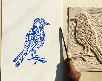 samoa kinderen bluebird