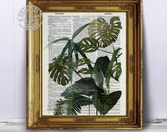 Monstera Leaf Dictionary Art Print, Illustration Dictionary Page Book Art Print, Vintage Dictionary Page Book Print, Tropical Leaf Art Decor