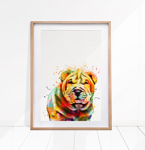 pets at home rochester