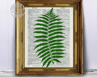 Fern Dictionary Art Print, Illustration Dictionary Page Book Art Print, Vintage Dictionary Pages Book Print, Fern Plant Wall Art, Botanical