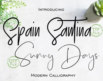 Fonts Set Digital Font Modern Calligraphy Swash Light Font Software Download TTF OTF Files Word Silhouette Cricut Photoshop Corel Draw