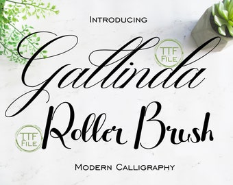 Fonts Set Digital Font Modern Calligraphy Swash Light Font Software Download TTF Files Word Silhouette Cricut Photoshop Corel Draw