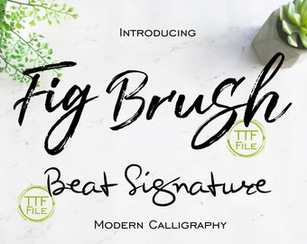 Fonts Set Digital Font Modern Calligraphy Brush Script Font Software Download TTF Files Word Silhouette Cricut Photoshop Corel Draw