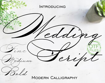 Wedding Font Set Digital Font Modern Calligraphy Elegant Script Font Software Download OTF Files Word Silhouette Cricut Photoshop Corel Draw