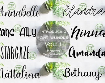 Font Bundle Set Vol 1 Digital Font Modern Calligraphy 8 Bundle Set Font Software Download TTF Files Word Silhouette Cricut Photoshop CorelD