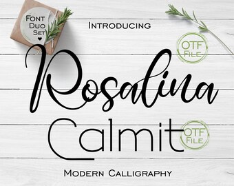 Fonts Set Digital Font Modern Calligraphy Brush Script Font Software Download OTF Files Word Silhouette Cricut Photoshop Corel Draw