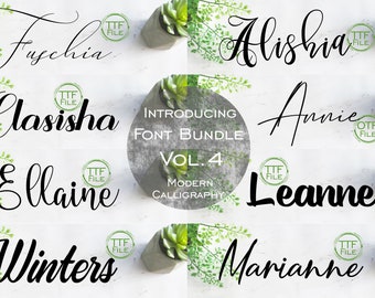 Font Bundle Set Vol 4 Digital Font Modern Calligraphy 8 Bundle Set Font Software Download TTF OTF Files Word Silhouette Cricut Photoshop