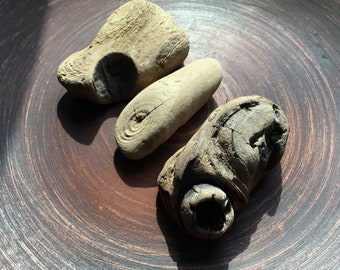 Download Kuestenholzwanddekor Desktop Wallpaper Free