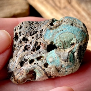 May include: A unique, textured stone with a mix of colors. The stone features a porous, dark brown surface with areas of teal and green. The natural rock formation has a distinctive shape and is held in a hand.